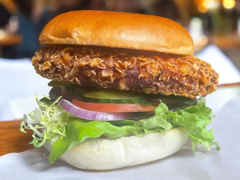 Burgerspecial met friet